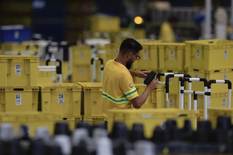 Cómo funciona la nueva apuesta mayorista del gigante del e-commerce