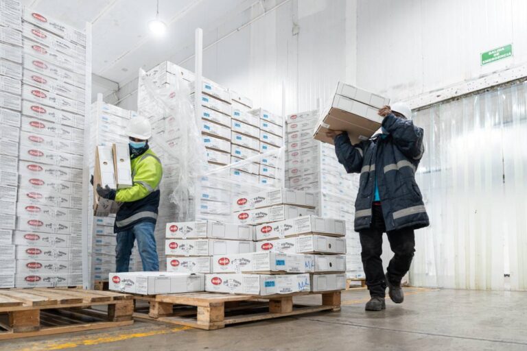 El Comercio Electrónico Desafía la Logística en Frío: ¿Estás Preparado?