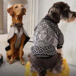 Impulso del Emprendimiento Chileno: Cómo Conquistar el Ecommerce Global en Estados Unidos