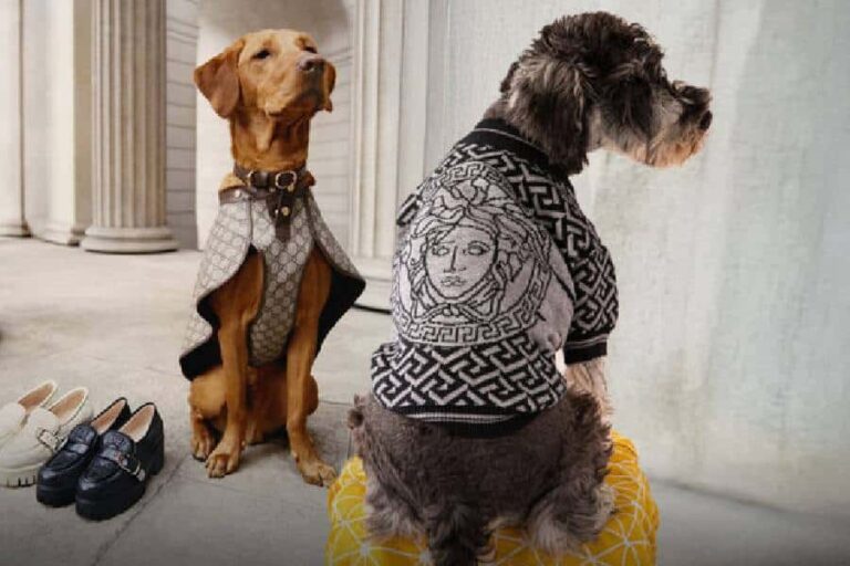 Impulso del Emprendimiento Chileno: Cómo Conquistar el Ecommerce Global en Estados Unidos